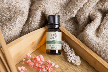 Eucalyptus Globulus Essential Oil(10ml)